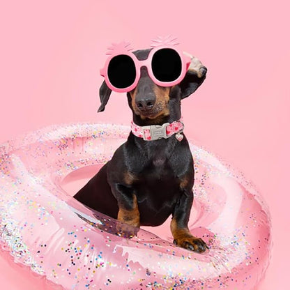 Unique style paws Valentine's Day Dog Collar Plastic Buckle Collar with Pendant Love Letter Lock Gift Wedding Small Medium Large Boys Girls Dogs