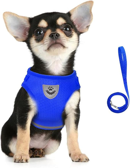 FEimaX Dog Harness and Leash Set for Walking, Soft Mesh Adjustable Easy Control Lightweight Cat Vest Harnesses with Reflective Strips, Escape Proof Small Dogs Cats Vests (Blue, Large)