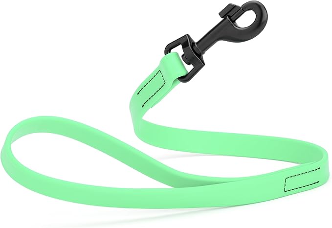 Dogline Biothane Waterproof Dog Leash Strong Coated Nylon Webbing with Black Hardware Odor-Proof Easy to Clean High Performance for Small or Large Dogs Made in USA 2 ft Lead, Sea Foam Green