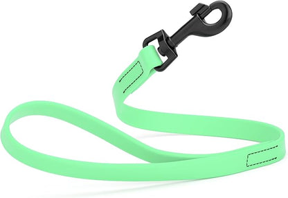 Dogline Biothane Waterproof Dog Leash Strong Coated Nylon Webbing with Black Hardware Odor-Proof Easy to Clean High Performance for Small or Large Dogs Made in USA 2 ft Lead, Sea Foam Green