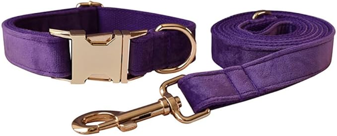 JAY D.L Dog Collar and Leash Set，Soft & Comfy Velvet Dog Collars with Heavy Duty Metal Buckle and Matching Lead Adjustable for Small Medium Large Dogs (XLarge, Dark Purple)