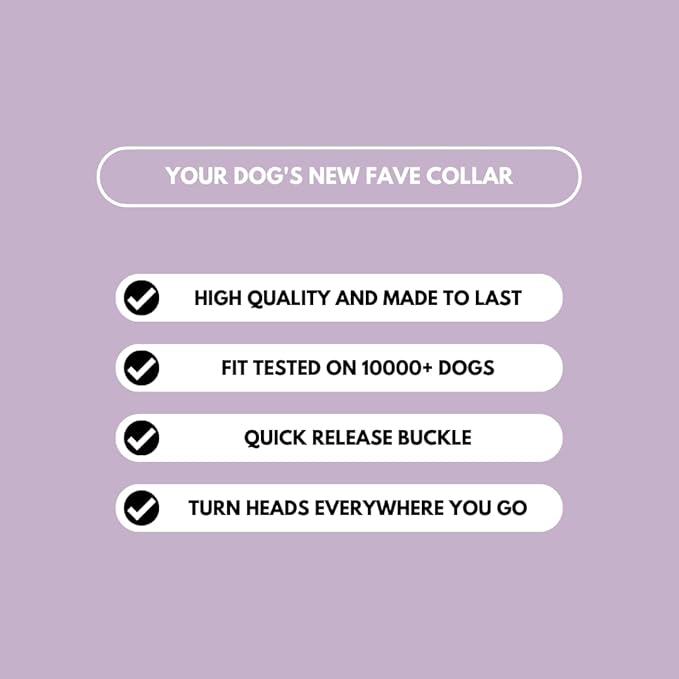 Spark Paws No Pull Dog Harness for Large Dogs, Heavy Duty Dog Harness for Big Strong Breeds, Adjustable, Y Shaped Padded Halter Design with Front Clip - Purple - Medium