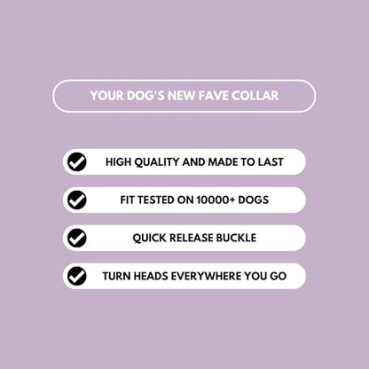 Spark Paws No Pull Dog Harness for Large Dogs, Heavy Duty Dog Harness for Big Strong Breeds, Adjustable, Y Shaped Padded Halter Design with Front Clip - Purple - Medium