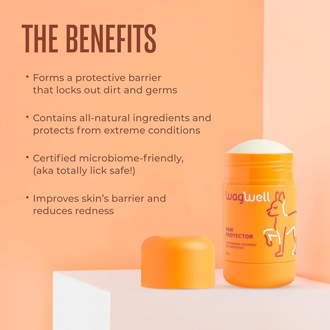 WagWell Paw Protector – Vet-Approved, Microbiome-Friendly, Dermatologist Tested – Natural Dog Paw Balm & Nose Balm – Made from Natural Lick-Safe Ingredients to Hydrate, Condition & Protect Pet Paws