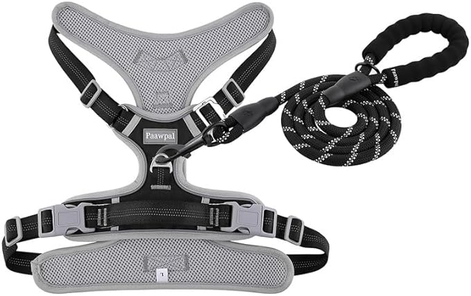 Paawpal Adjustable Dog Harness - No Pull, Reflective, Soft Padded for Small, Medium, Large Dogs - Includes Leash Black S
