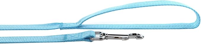 Nylon Dog Leash 8 Feet Long, Walking Training Dog Leashes for Medium Large Dogs(1" X 8 ft, Blue)