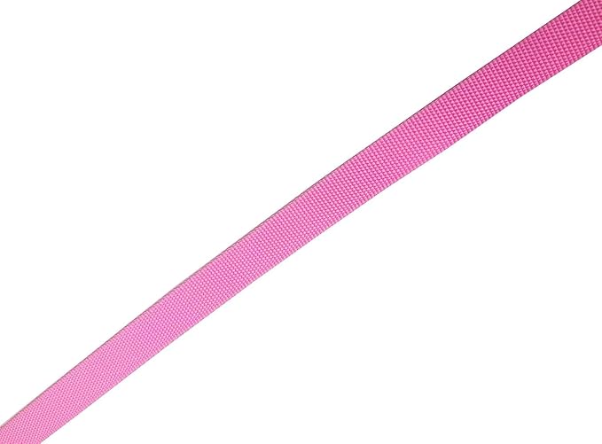 Nylon Dog Leash 8 Feet Long, Walking Training Dog Leashes for Medium Large Dogs