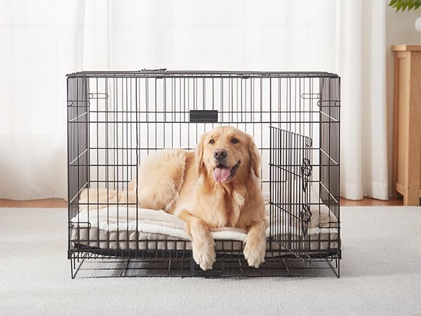 Dog Bed for Large Dogs, Dog Mattress with Pillow for Crate Kennel, Sofa pet Bed, Super Soft pet Bed for Medium, Jumbo, Small Dogs Breeds (Beige, Medium:(31"x25"x3")