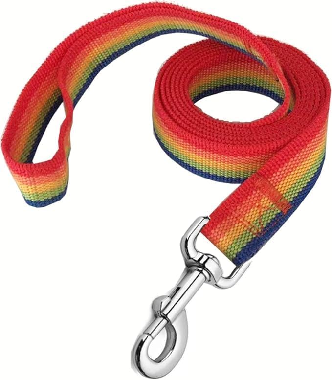 Strong Nylon Dog Leash, 4FT/ 5 FT/ 6FT Dog Leashes for Small Medium Dogs