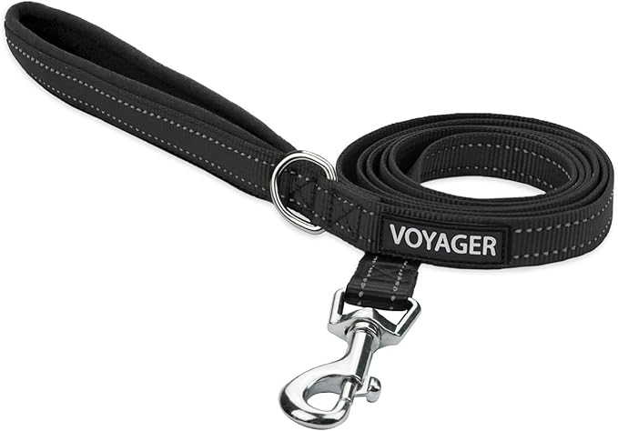 Best Pet Supplies Voyager Reflective Dog Leash or Collar with Neoprene Handle, for Small, Medium, and Large Breed Puppies, Cute and Heavy Duty for Walking, Running and Training - Black (Leash), S