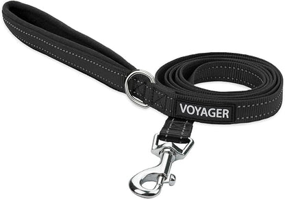 Best Pet Supplies Voyager Reflective Dog Leash or Collar with Neoprene Handle, for Small, Medium, and Large Breed Puppies, Cute and Heavy Duty for Walking, Running and Training - Black (Leash), S