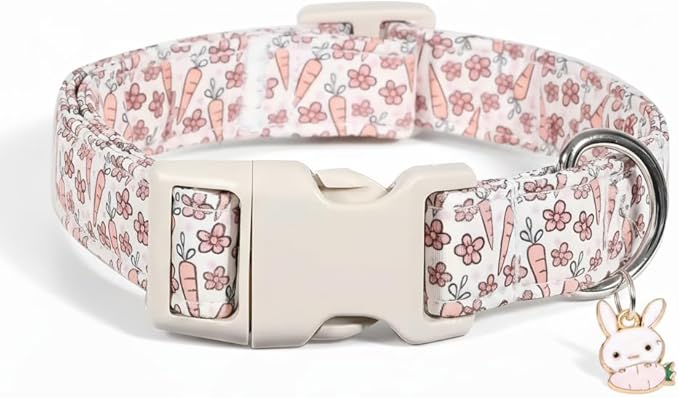 Small Dog Collar, Cute Spring Pattern for Medium Dogs, Cute Dog Collar, S