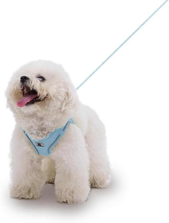 Adjustable Dog Harness with Leash, Reflective Mesh, No-Pull Design，Matching Lead Rope (SkyBlue, XXS)
