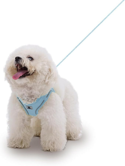 Adjustable Dog Harness with Leash, Reflective Mesh, No-Pull Design，Matching Lead Rope (SkyBlue, XXS)