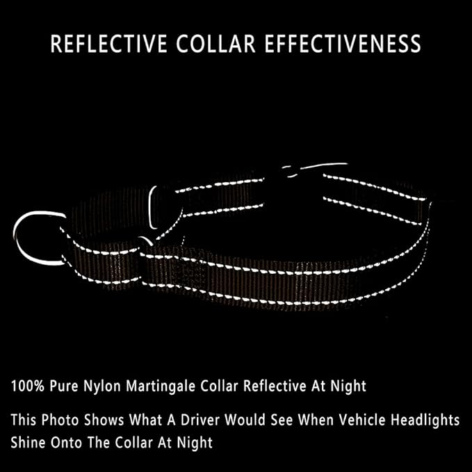 PLUTUS PET Reflective Martingale Collar with Quick Snap Buckle,No Pull Dog Choker Collar for Small Medium Large Dogs, M, Chocolate
