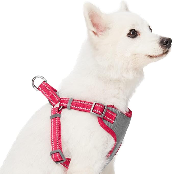 Blueberry Pet Pastel Colored Reflective Dog Harness with Seatbelt Clip – Adjustable No-Pull Pet Vest for Walking and Car Safety, Large Size in Very Berry