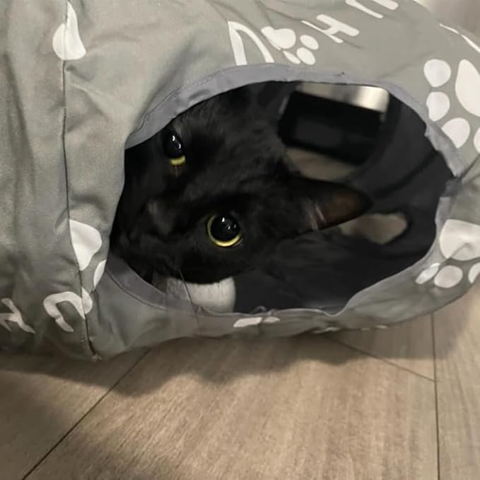 OUHOU Cat Tunnel Bed for Indoor Cats, Donut Tunnel with Mat, Straight Tunnel, 4 Hanging Balls and Blackout Tent, Collapsible Peekaboo Cat Cave