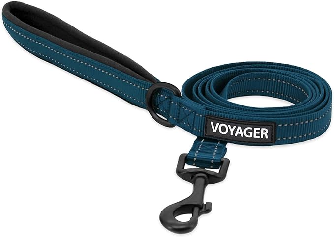 Best Pet Supplies Voyager Reflective Dog Leash or Collar with Neoprene Handle, for Small, Medium, and Large Breed Puppies, Cute and Heavy Duty for Walking, Running and Training - Blue Leash, L