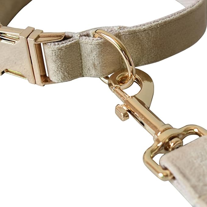 JAY D.L Dog Collar and Leash Set，Soft & Comfy Velvet Dog Collars with Heavy Duty Metal Buckle and Matching Lead Adjustable for Small Medium Large Dogs (XLarge, Beige)