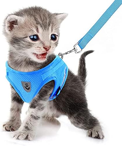 FEimaX Dog Harness and Leash Set for Walking, Soft Mesh Adjustable Easy Control Lightweight Cat Vest Harnesses with Reflective Strips, Escape Proof Small Dogs Cats Vests (Azure, X-Small)