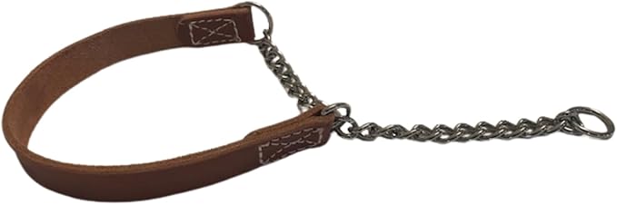 Joel Silverman - Alternative Training Collar - Gentle No-Pull Dog Collar - Leather & Chain Combo for Humane, Low-Neck Control - Trainer-Trusted Leather Dog Collar for All Breeds (Extra Large)