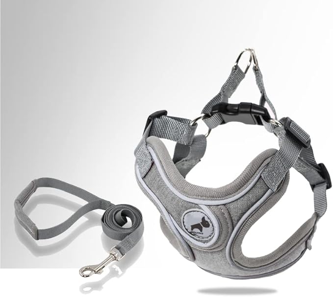 Dog Harness with Leash Set, Reflective Strips Adjustable Step in with Breathable Padded Vest Harness for Small Large Dogs Training and Running (S, Gray)