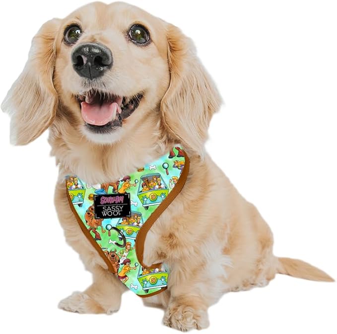 Sassy Woof Dog Adjustable Harness - Scooby-Doo™ - XS, Breathable Mesh, No Pull Design with Two D-Rings, Patented Design, Perfect for Small Dogs and Puppies - Officially Licensed