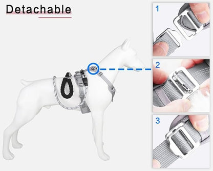 Paawpal Adjustable Dog Harness - No Pull, Reflective, Soft Padded for Small, Medium, Large Dogs - Includes Leash Silver XL