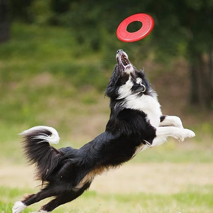 Nerf Dog Atomic Flyer Outdoor Dog Toy, 10 Inch Flying Disc Dog Fetch Toy, Rubber Dog Toy for Medium Dogs and Large Dogs, Red (Pack of 2)