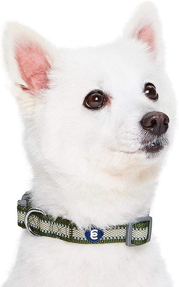 Blueberry Pet Essentials Matching Large Dog Collar | Adjustable Classic Solid Color Nylon Dog Collars for Large Dogs | Reflective Dark Olive Dog Collar for Large Dogs