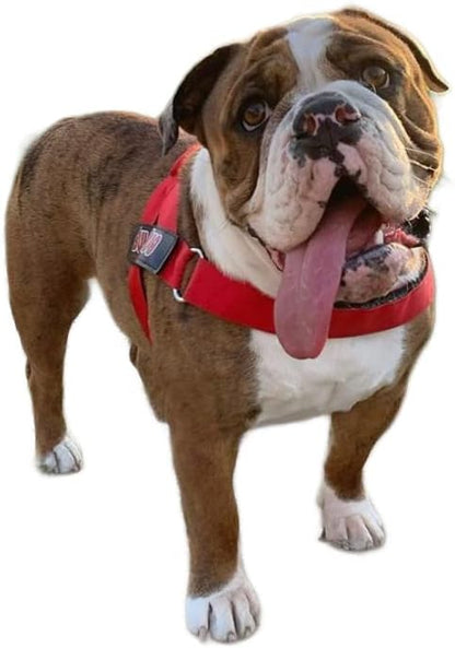 BULLHUG Adjustable Dog Harness– No Pull, No Choke – for English Bulldogs, French Bulldogs, Pugs & Broad-Chested Breeds – Easy, Safe Walks (Bright RED, Medium)