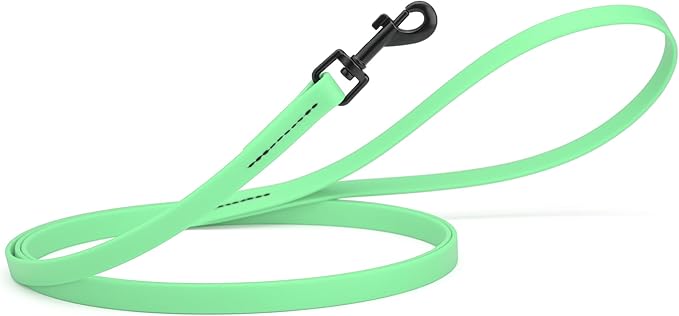 Dogline Biothane Waterproof Dog Leash Strong Coated Nylon Webbing with Black Hardware Odor-Proof Easy to Clean High Performance for Small or Large Dogs Made in USA 4 or 6 ft Lead, Sea Foam Green