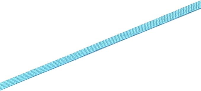 Nylon Dog Leash 8 Feet Long, Walking Training Dog Leashes for Medium Large Dogs(1" X 8 ft, Blue)