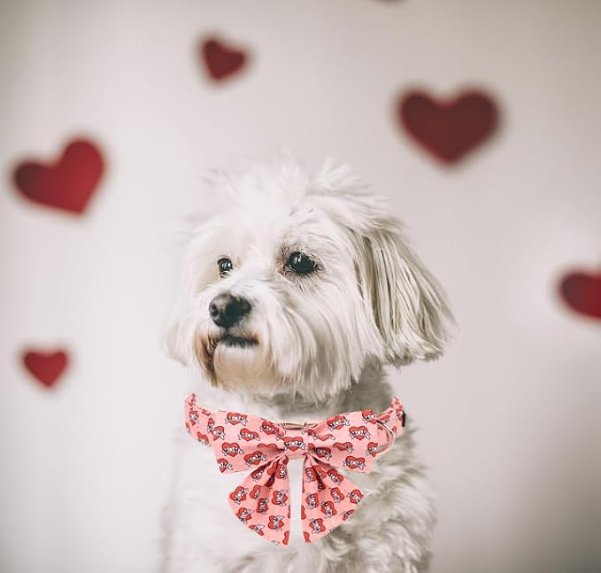 Unique Style Paws Valentiene's Day Dog Collar with Bow Heart Print Cotton Dog Collars Collar for Small Medium Large Dogs New
