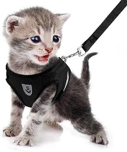 FEimaX Dog Harness and Leash Set for Walking, Soft Mesh Adjustable Easy Control Lightweight Cat Vest Harnesses with Reflective Strips, Escape Proof Small Dogs Cats Vests (Black, Large)