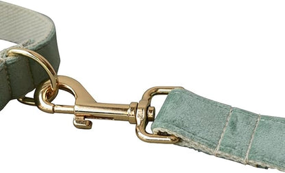 JAY D.L Dog Collar and Leash Set，Soft & Comfy Velvet Dog Collars with Heavy Duty Metal Buckle and Matching Lead Adjustable for Small Medium Large Dogs (Medium, Mint Green)