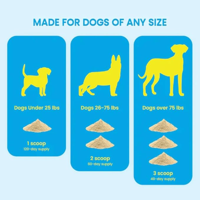 Nala Nutrition Advanced Hip and Joint Supplement for Dogs | Chondroitin, Vitamin and Glucosamine for Dogs | Dog Joint Supplement for Health + Mobility | 120 Scoops