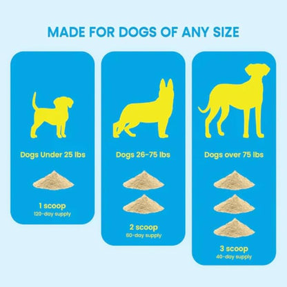 Nala Nutrition Advanced Hip and Joint Supplement for Dogs | Chondroitin, Vitamin and Glucosamine for Dogs | Dog Joint Supplement for Health + Mobility | 120 Scoops