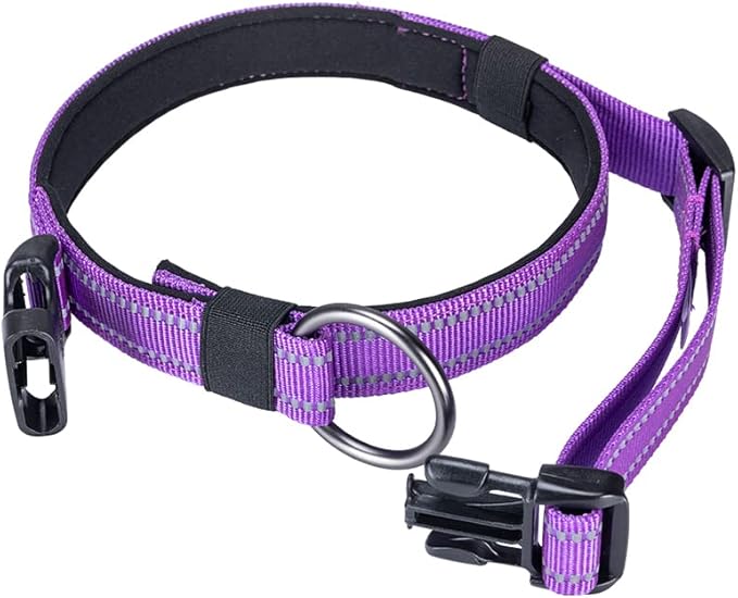 EXCELLENT ELITE SPANKER Reflective Dog Collar Classic Soft Padded Breathable Nylon Adjustable Pet Collar with Quick Release Buckle for Boy Girl Male Female Puppies Small Medium Large Dogs(Purple-L)