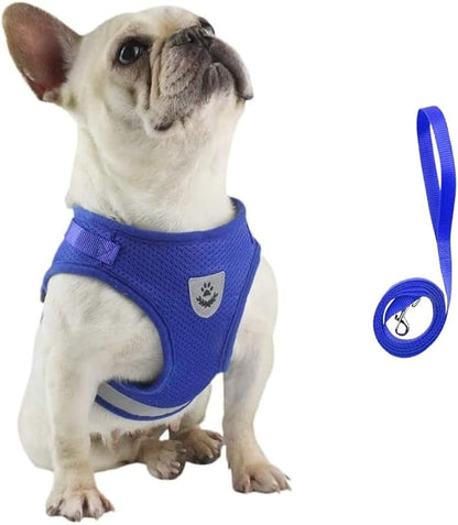 FEimaX Dog Harness and Leash Set for Walking, Soft Mesh Adjustable Easy Control Lightweight Cat Vest Harnesses with Reflective Strips, Escape Proof Small Dogs Cats Vests (Blue, Large)