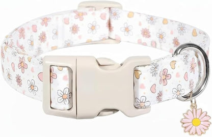 Dog Collar, Floral Dog Collar with Flower Daisy Pattern, Spring Summer Design for Small Medium Dogs, M