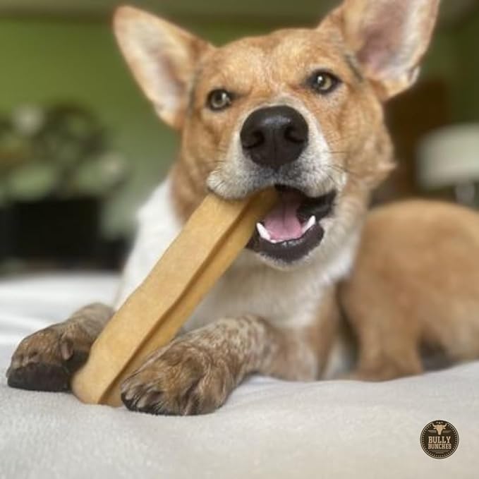 Bully Bunches Extra Large Authentic Yak Cheese Himalayan Chews for Large Dogs & Aggressive Chewers - All Natural Dog Treat Dental Chews, Made with Real Yak Milk - Lactose & Rawhide Free (6 PK)