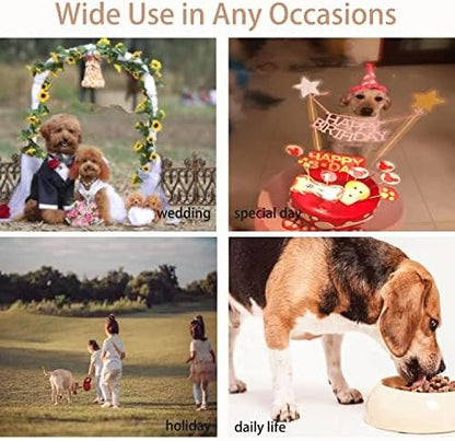 Pet Dresses for Small Dogs Cats Girl, Cute Princess Bowknot Dress Puppy Shirt All Weather Skirt Clothes Cat Apparel for Birthday Wedding Party Holiday (Grey&Black, Large)