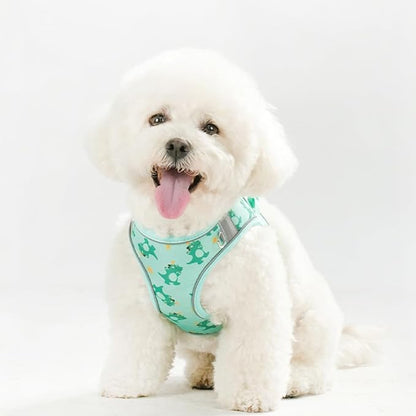 Step in Dog Harness and Leash Set, Flower Adjustable Easy Walk Puppy Harnesses, Soft Mesh No Pull Pet Vest Harness for Small Dogs and Cats(Green, XS)