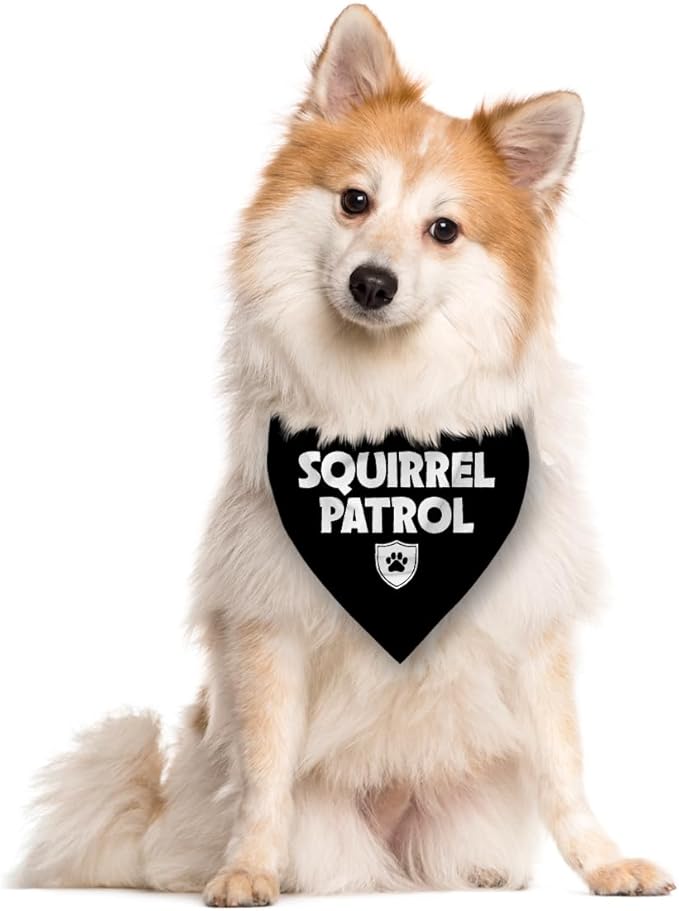 Squirrel Patrol Dog Bandana, Black Dog Bandana, Funny Cute Dog Bandana, Pet Dog Triangle Scarf, Dog Bandana for Small Medium Large Dogs, Gift for Dog Lover (D19)