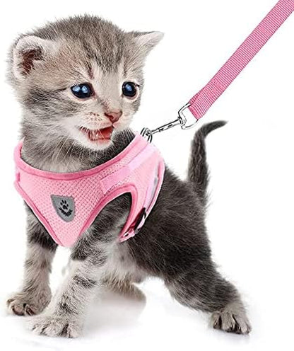 FEimaX Dog Harness and Leash Set for Walking, Soft Mesh Adjustable Easy Control Lightweight Cat Vest Harnesses with Reflective Strips, Escape Proof Small Dogs Cats Vests (Pink, Small)