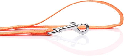 Nylon Dog Leash 8 Feet Long, Walking Training Dog Leashes for Medium Large Dogs