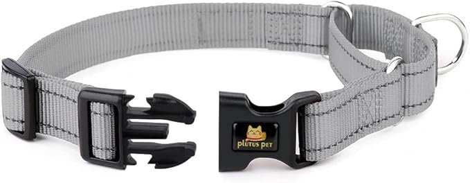 Plutus Pet Reflective Martingale Collar with Buckle - Durable and Adjustable Training Collar for No Pulling, Dog Choker Collar for Small Medium Large Dogs, Gray, S
