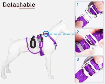 Paawpal Adjustable Dog Harness - No Pull, Reflective, Soft Padded for Small, Medium, Large Dogs - Includes Leash Purple XL