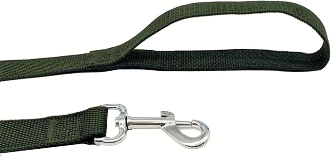 TAIAN 4FT/5FT/6FT Strong Dog Leash, Nylon Dog Leashes for Small Medium Large Dogs (Green, 1 in x 15 ft)